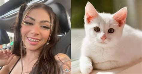 pipokinha com gato|MC Pipokinha é denunciada por zoofilia após vídeo com gatos